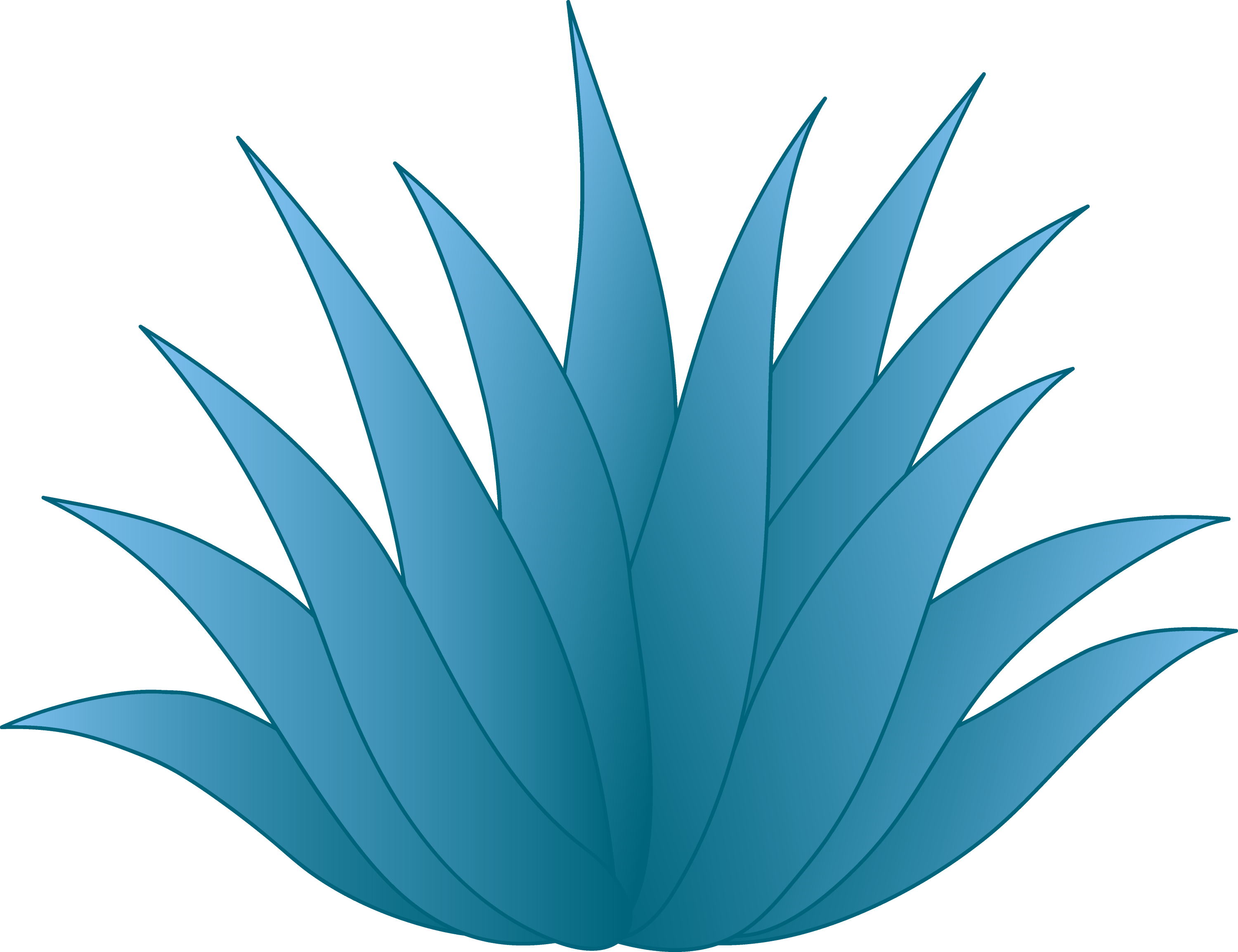 blue-agave-plant-free-clip-art