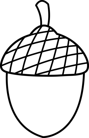 Acorn Line Art - Free Clip Art