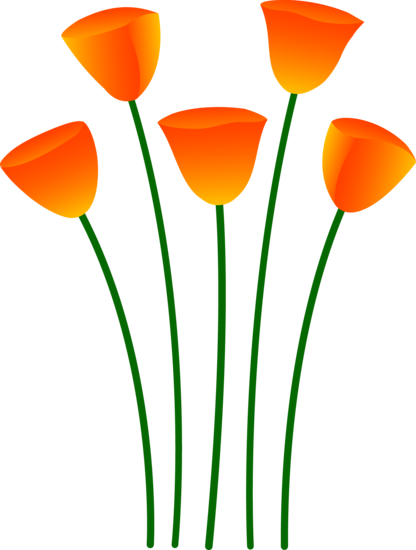 Orange Poppy Flowers - Free Clip Art