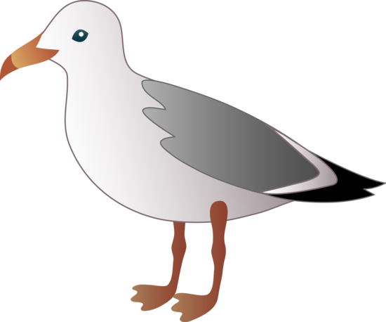 Little Seagull - Free Clip Art