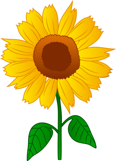 Download Pretty Golden Sunflower - Free Clip Art