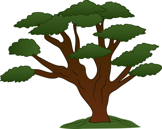 Sweeping Oak Tree Design - Free Clip Art