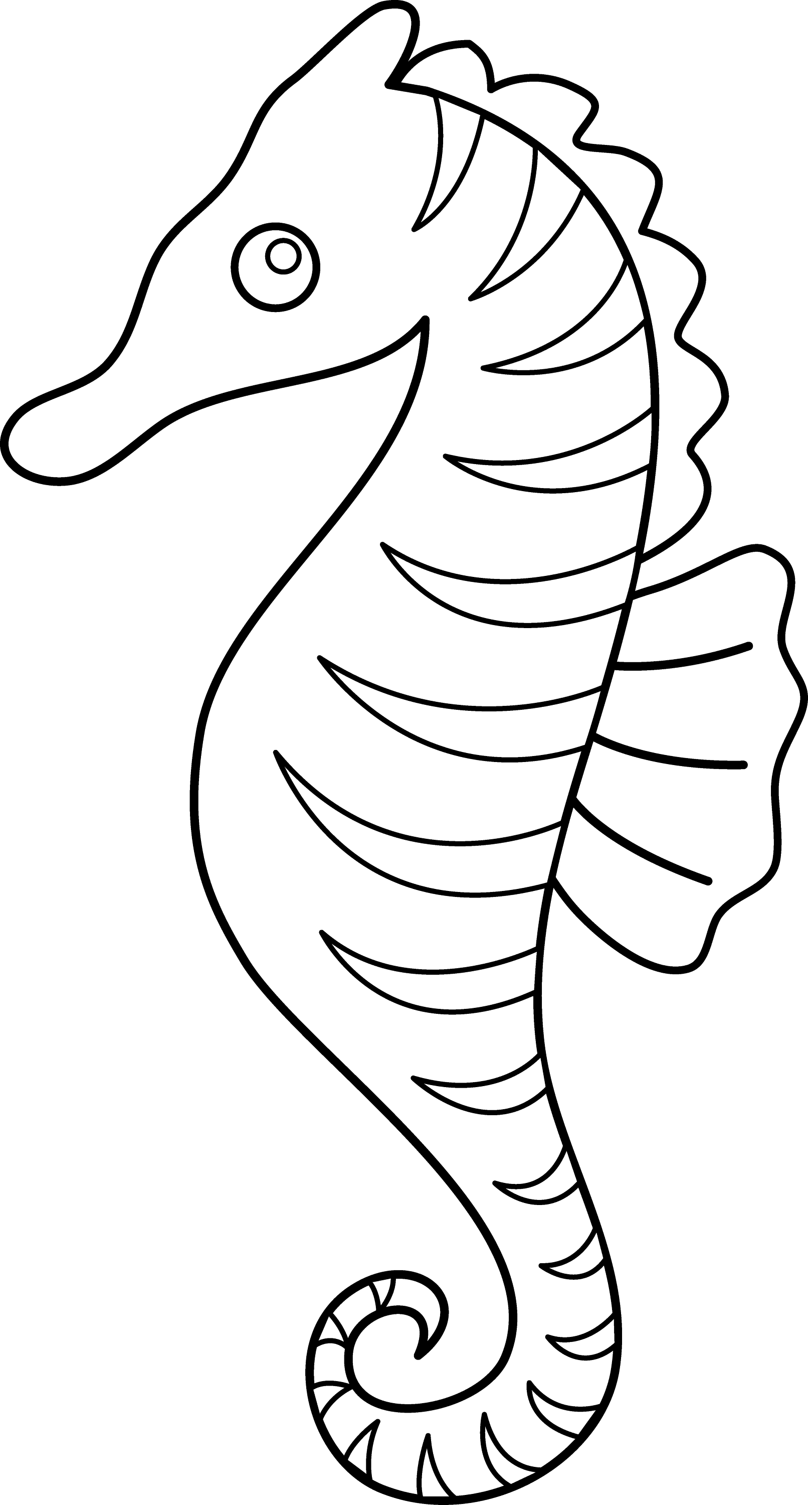 Download Seahorse Coloring Page - Free Clip Art