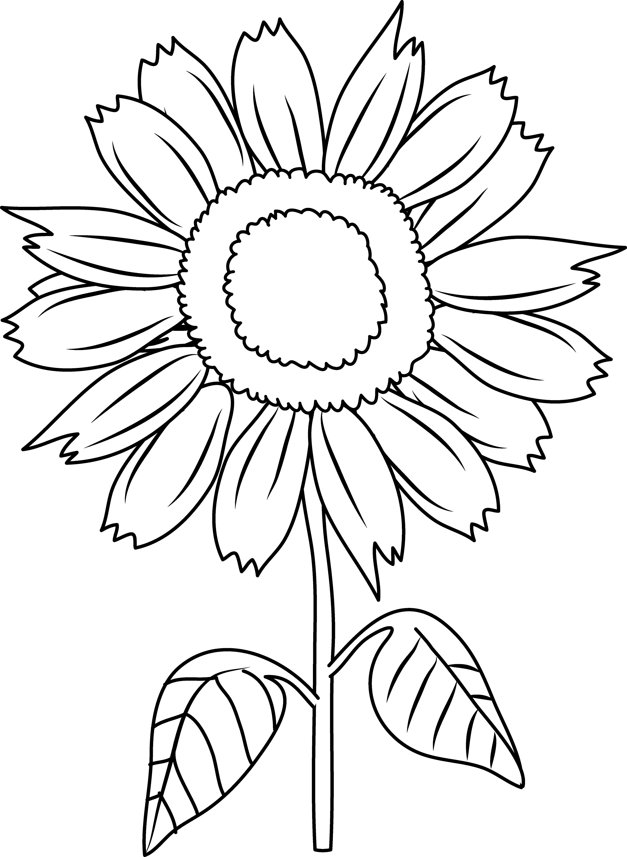 Printable Sunflower Pictures