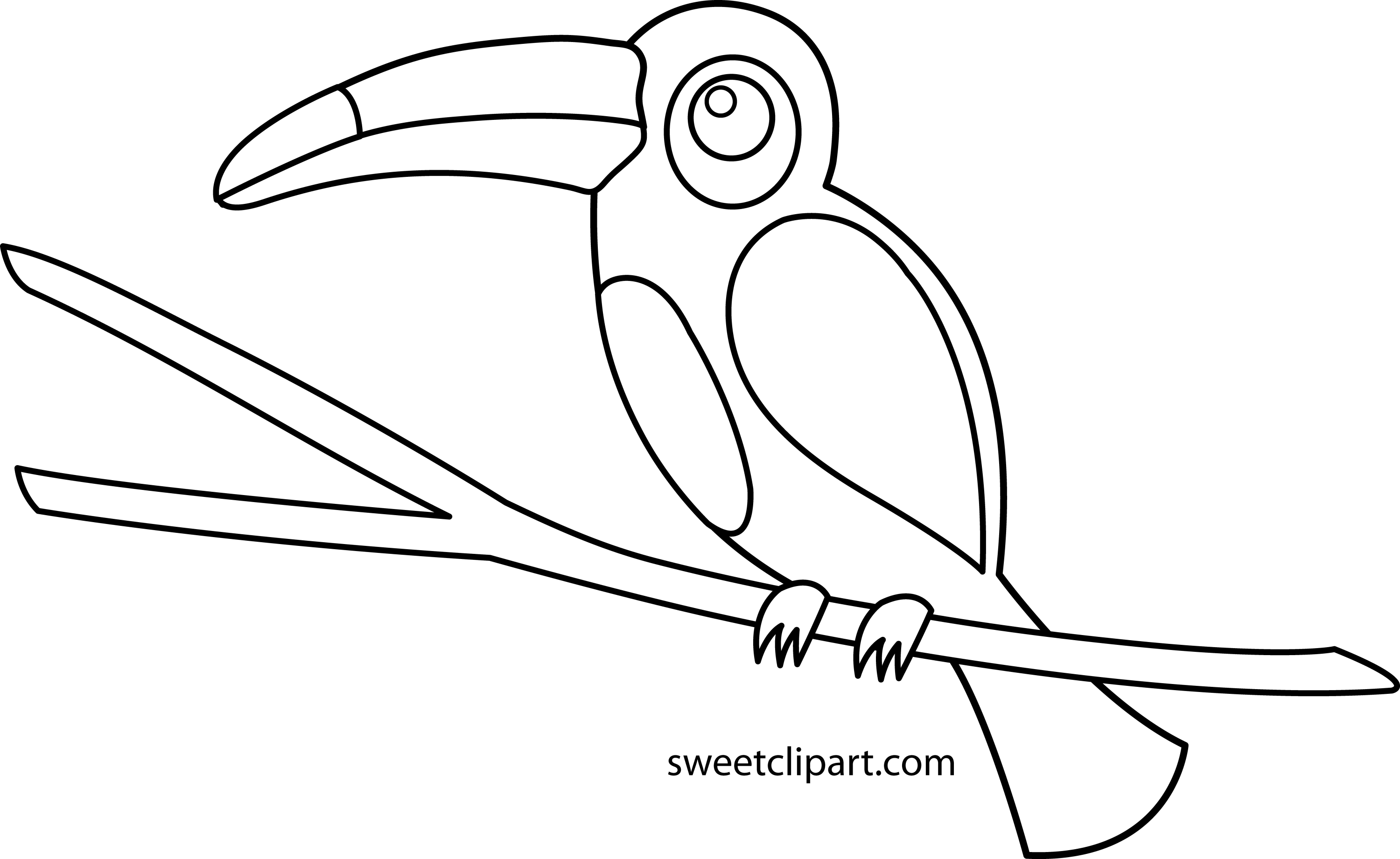 Cute Toucan Coloring Page Free Clip Art