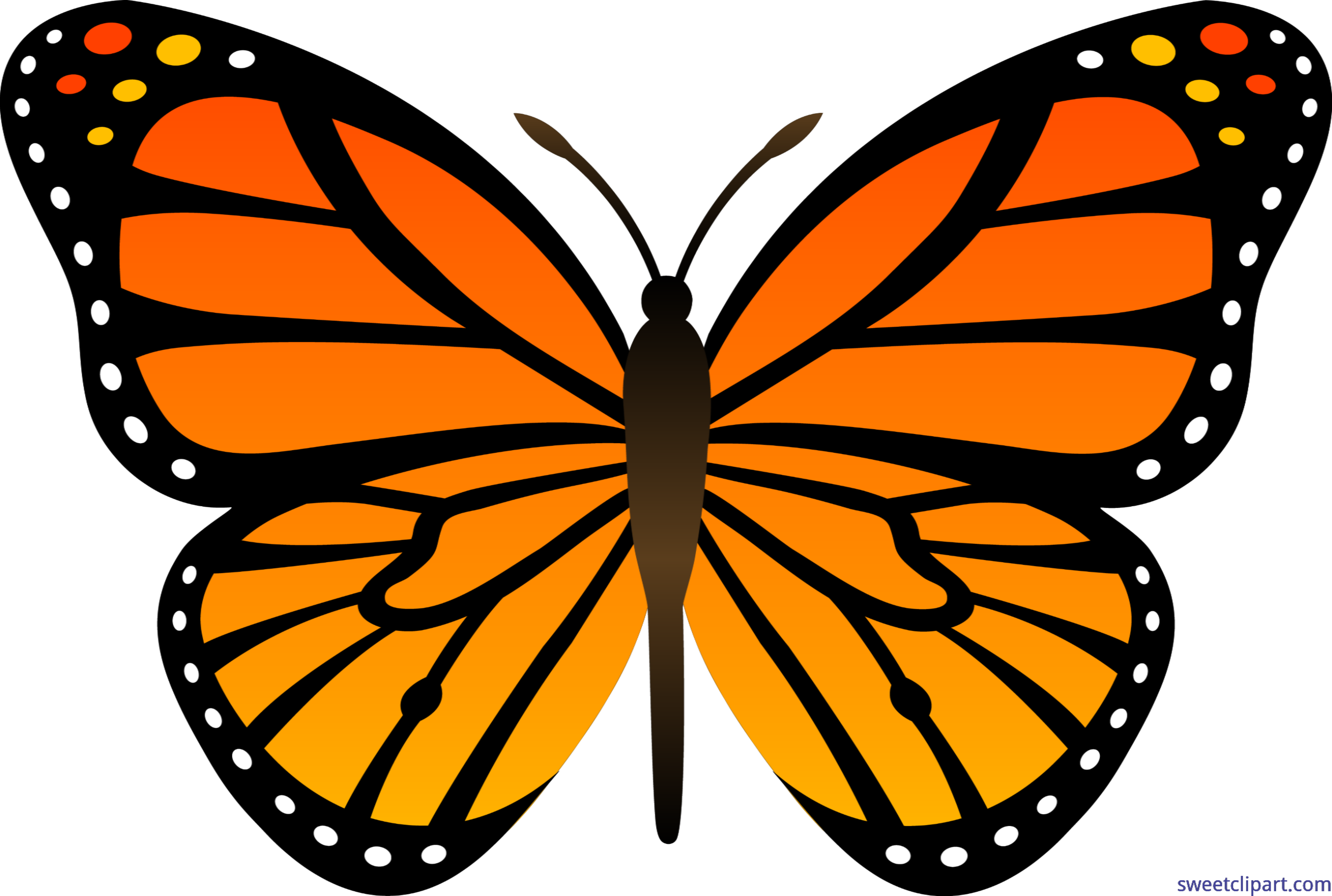 monarch butterfly clipart
