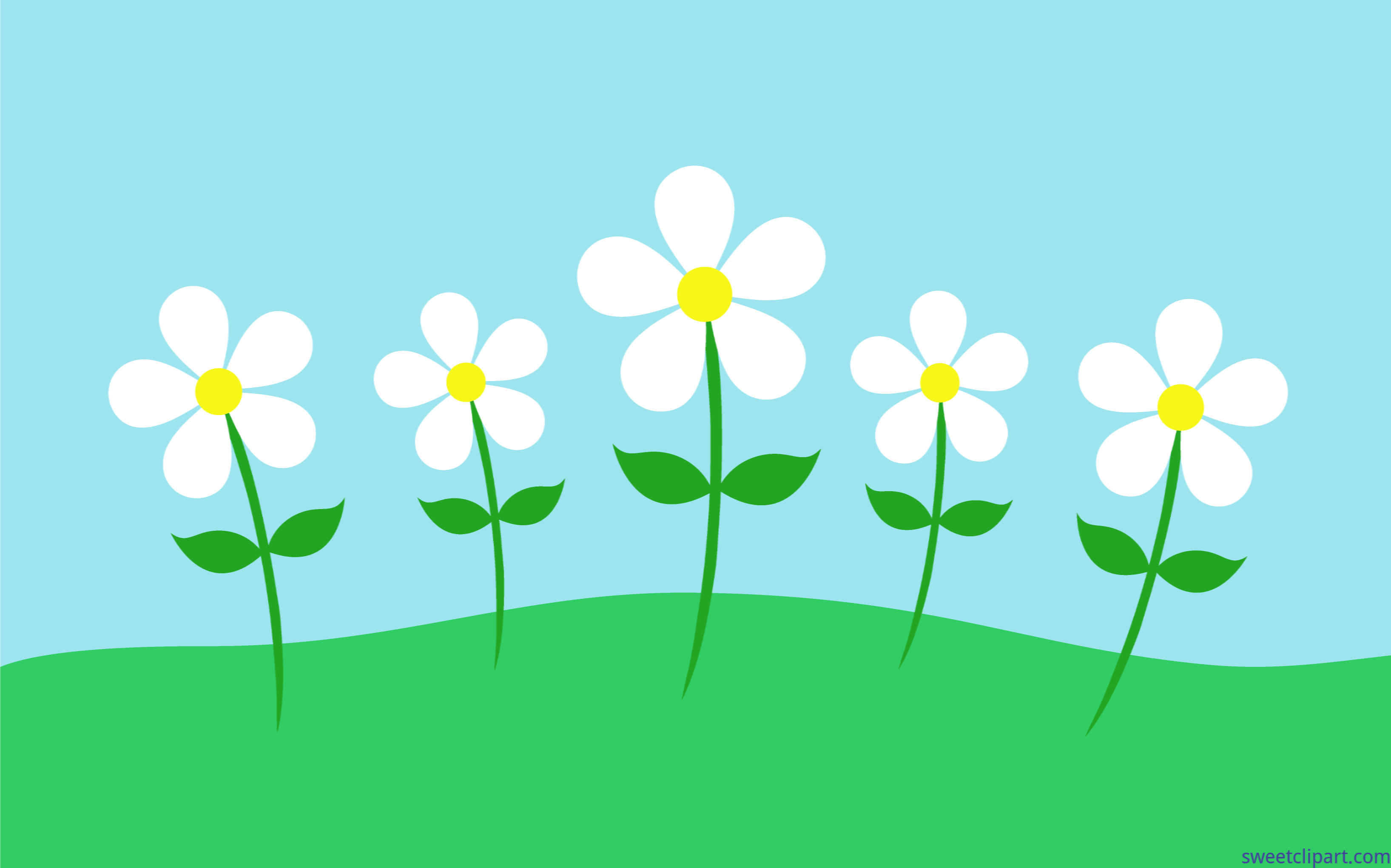 animated spring flower